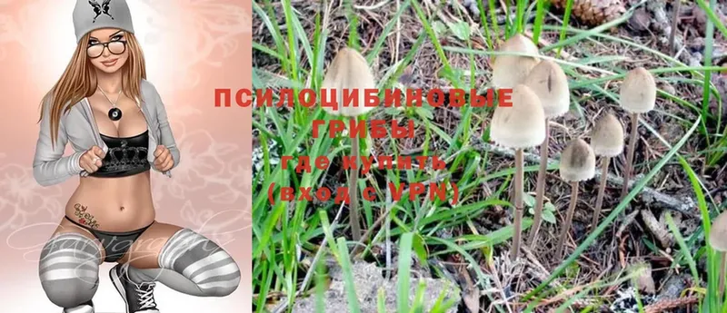 Галлюциногенные грибы MAGIC MUSHROOMS  Руза 